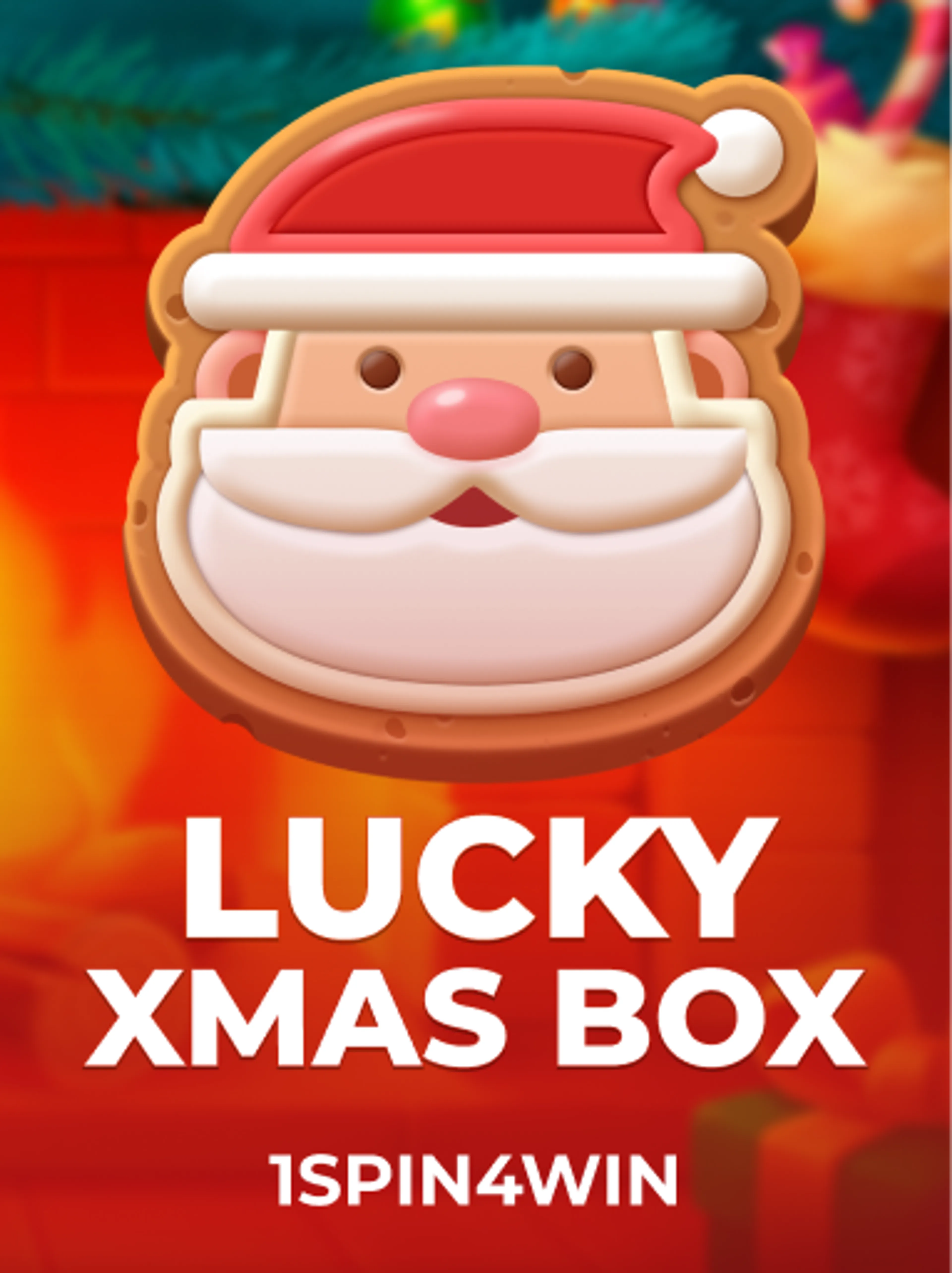 Lucky Xmas Box