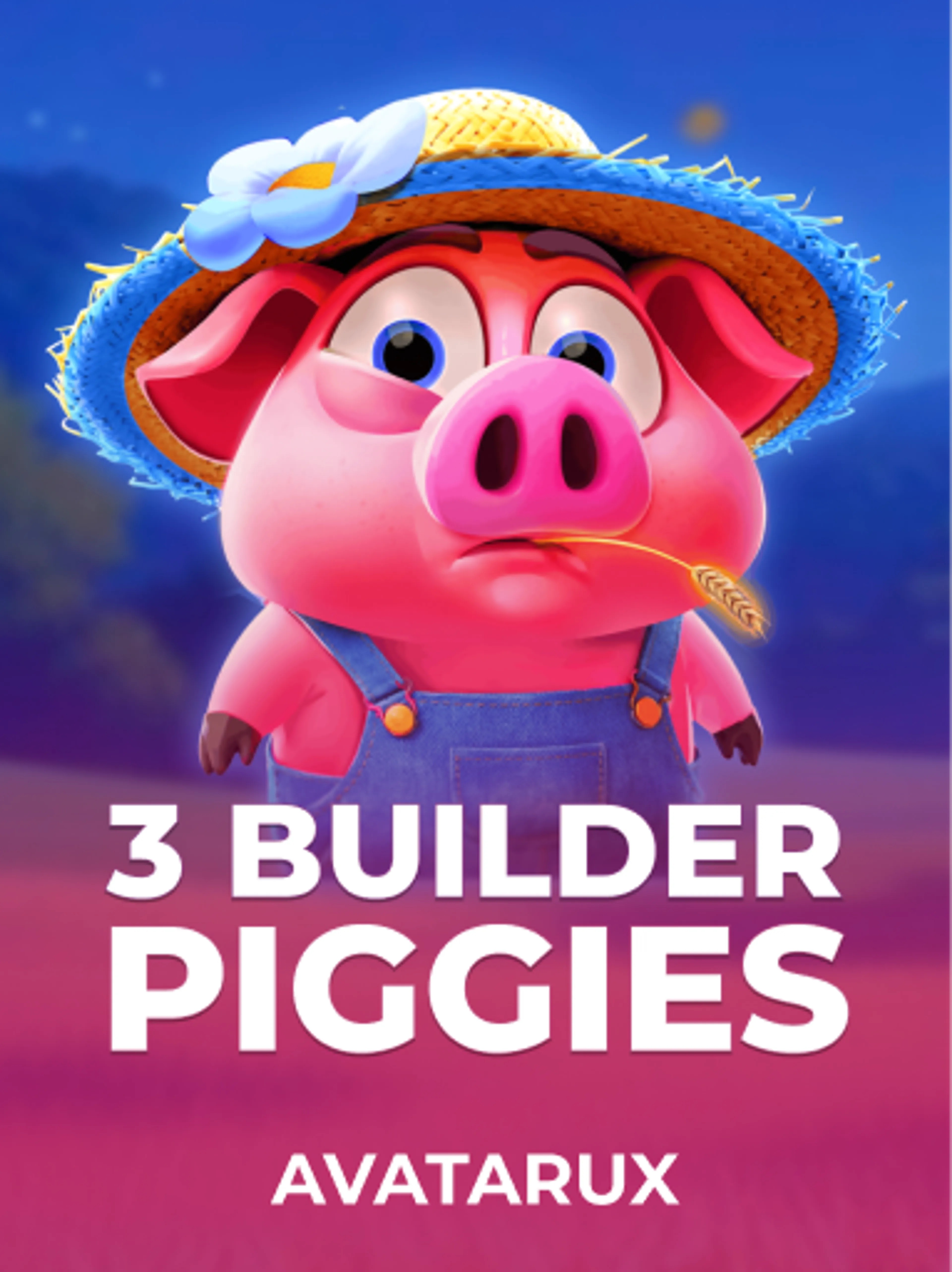 3 Builder Piggies
