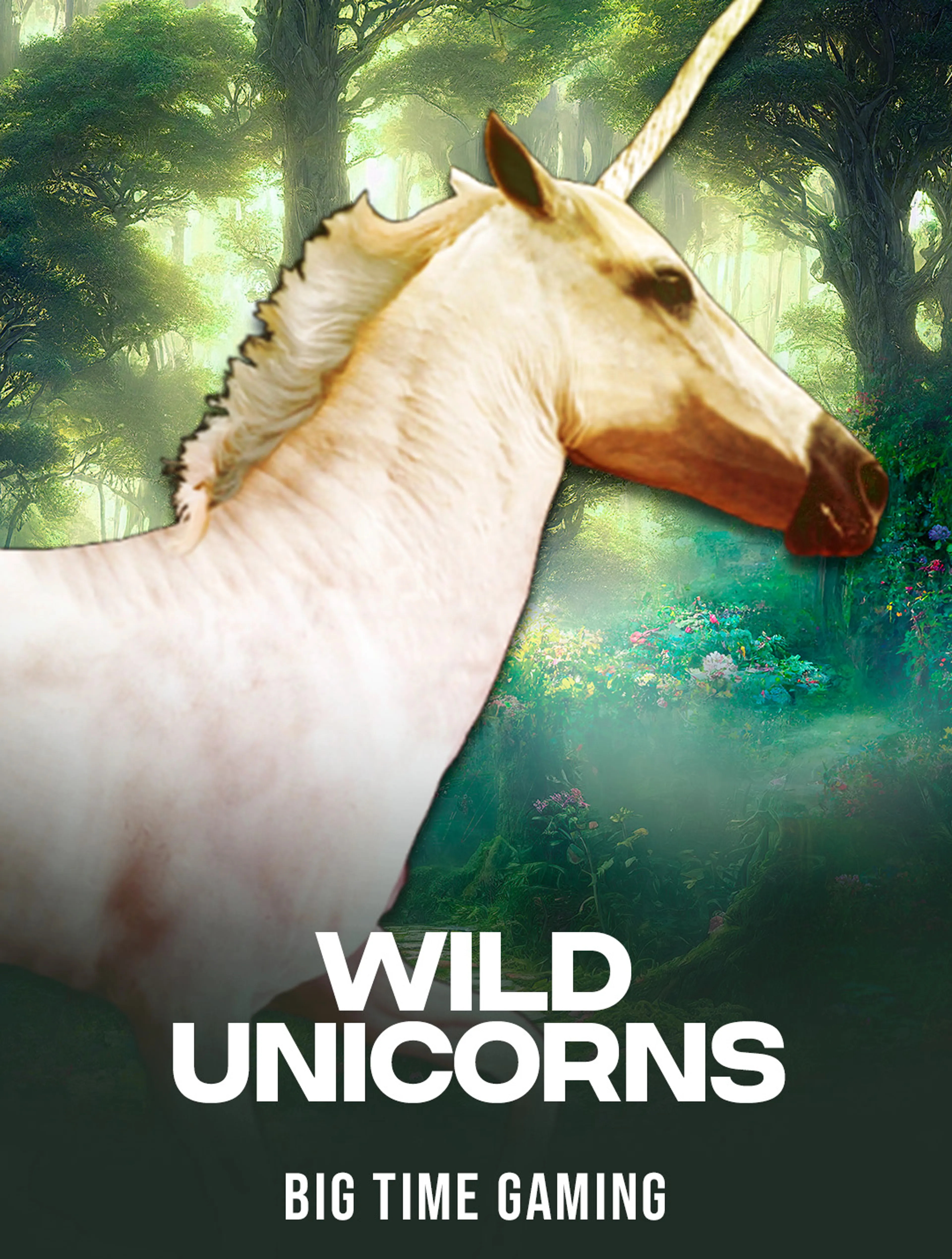 Wild Unicorns