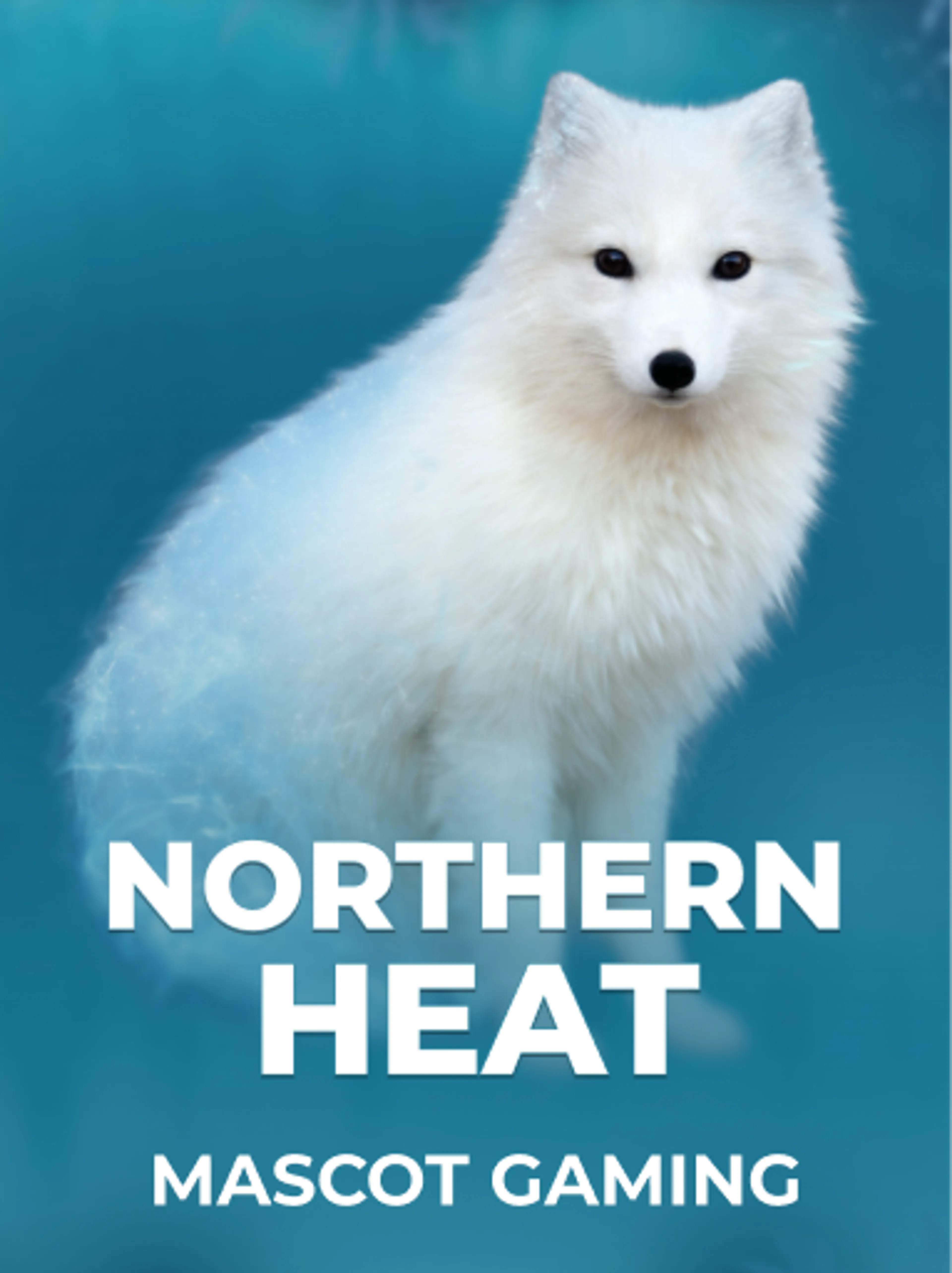 Northern Heat