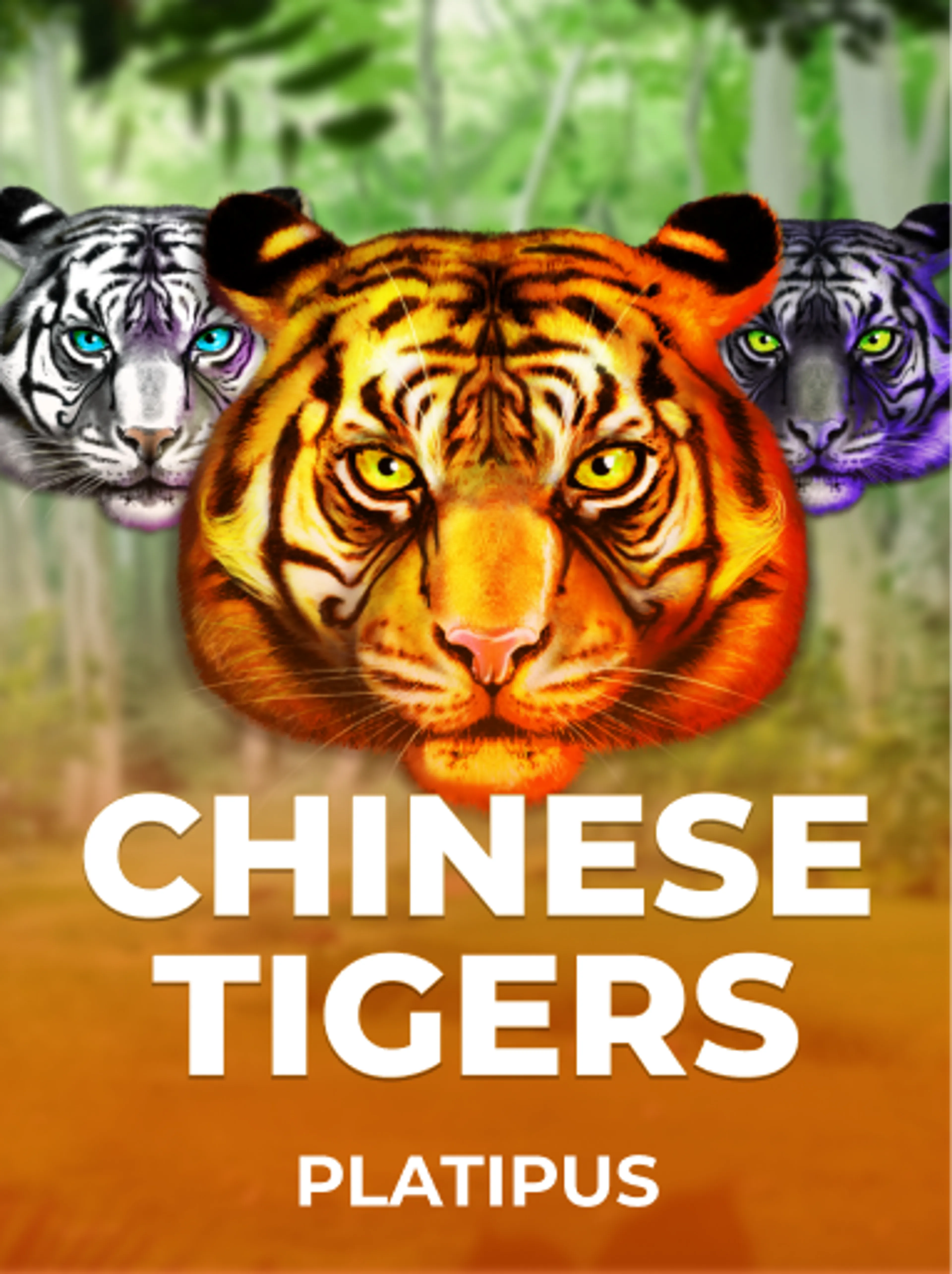 Chinese Tigers