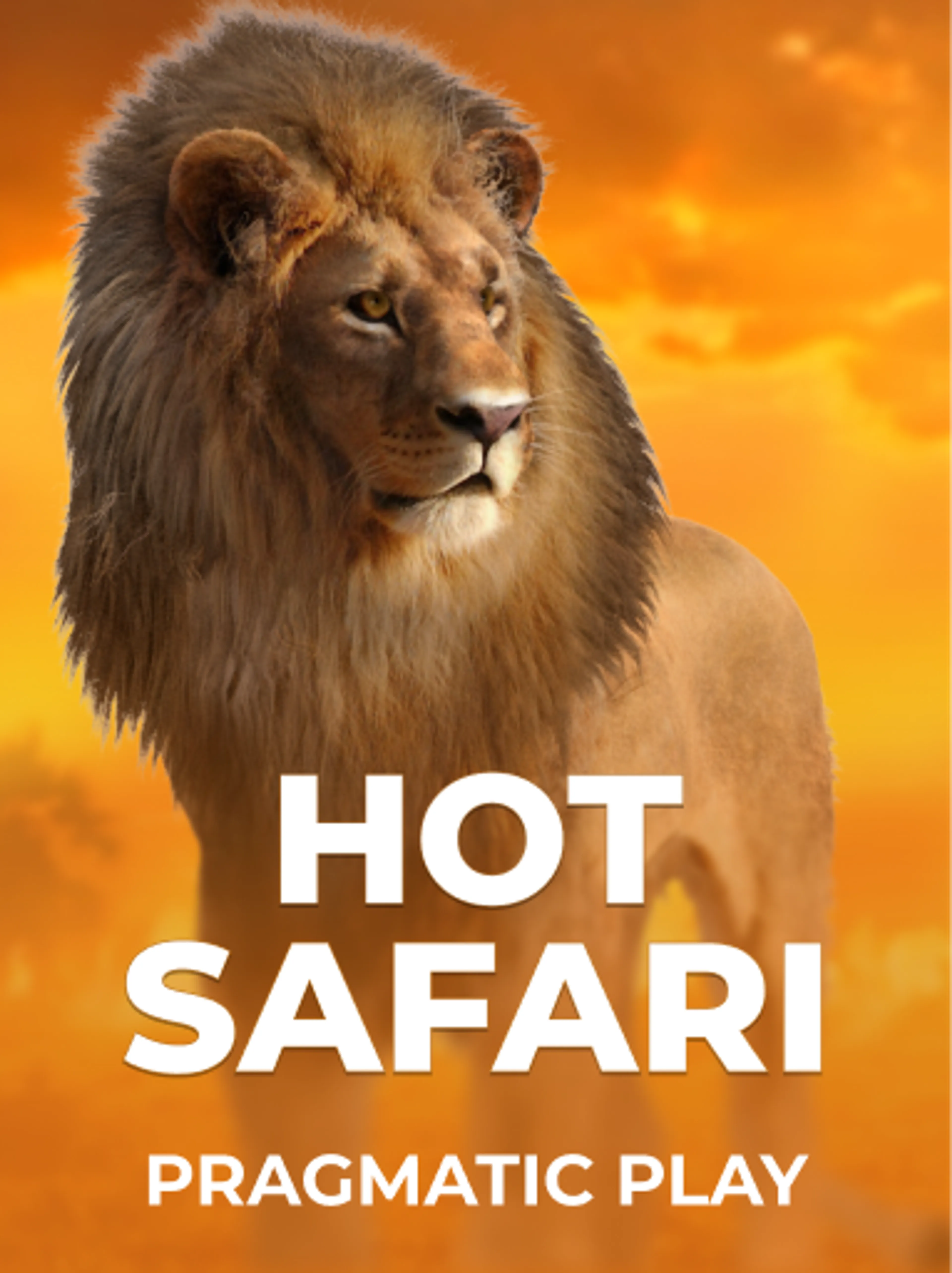 Play Hot Safari Slot by Pragmatic Play