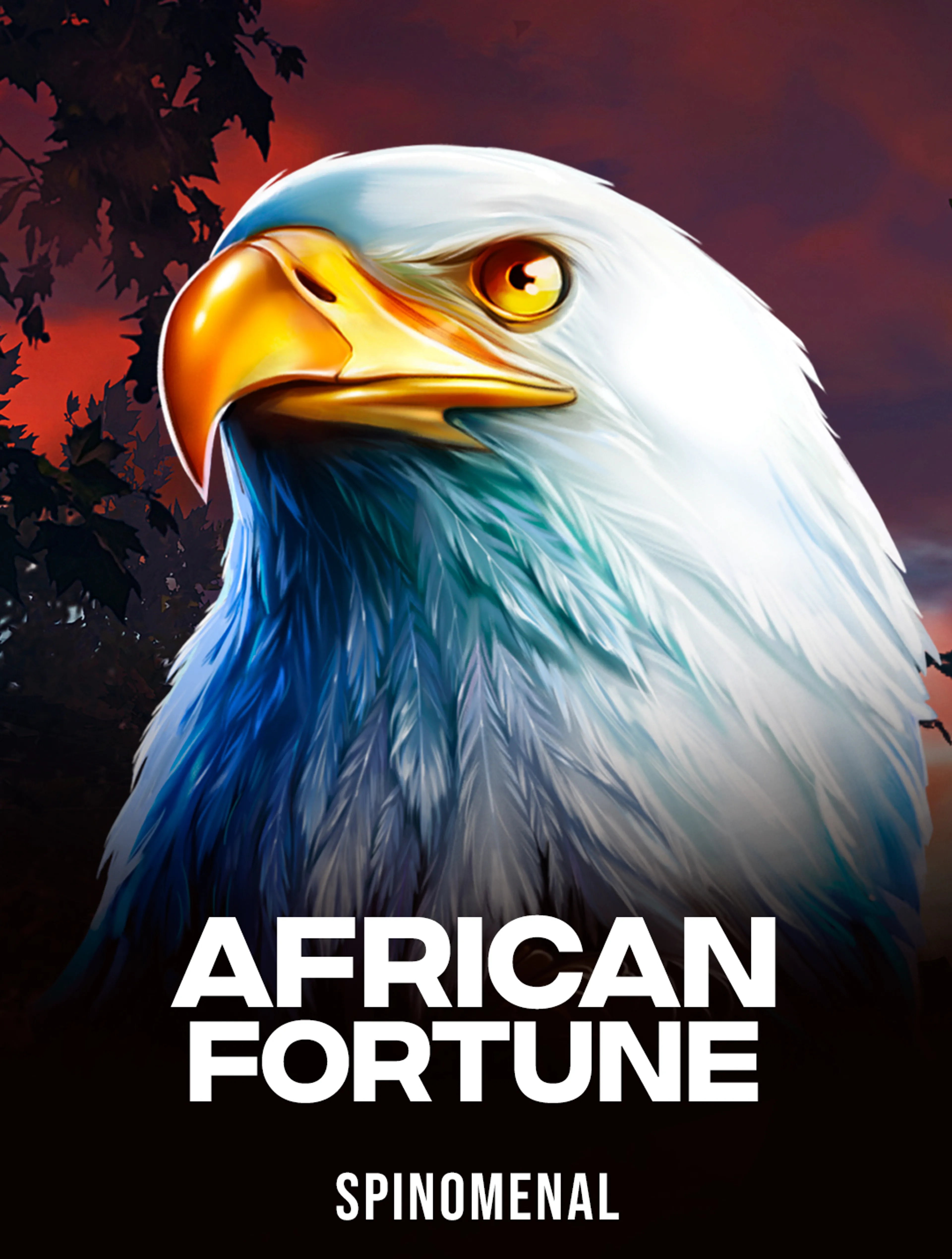 Play African Fortune Slot by Spinomenal